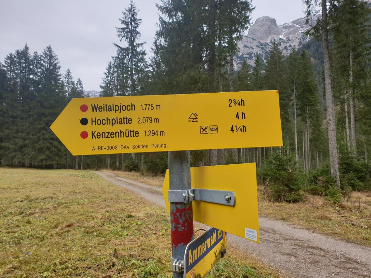 Ammerwald Alm Plansee Luaran gambar